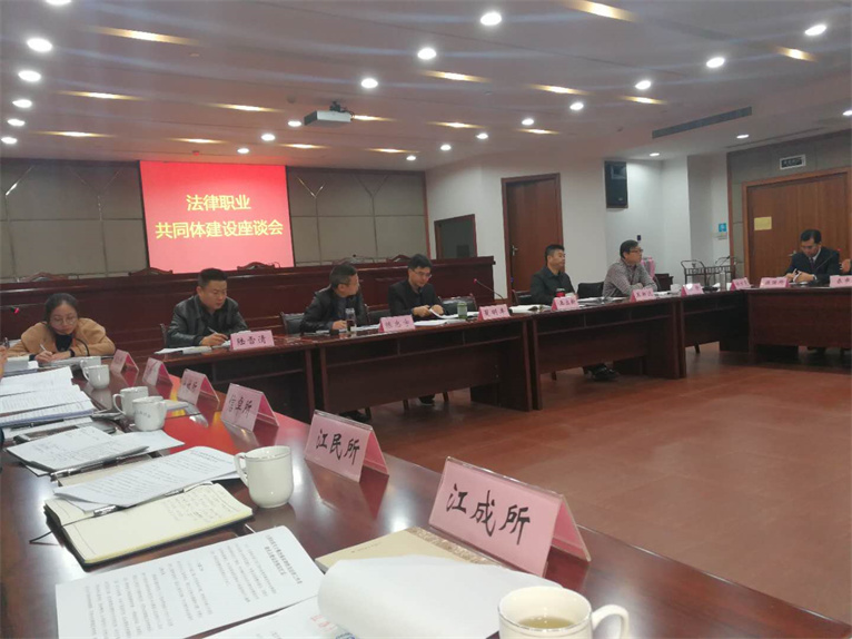 陆逸君主任参加法律职业共同体建设座谈会
