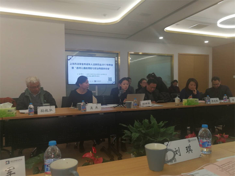 陆逸君主任应邀参加”虐待儿童的预防与惩治专题研讨会”1